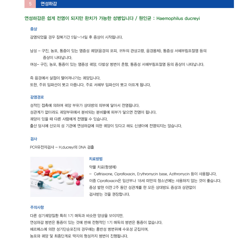 성매개체 감염